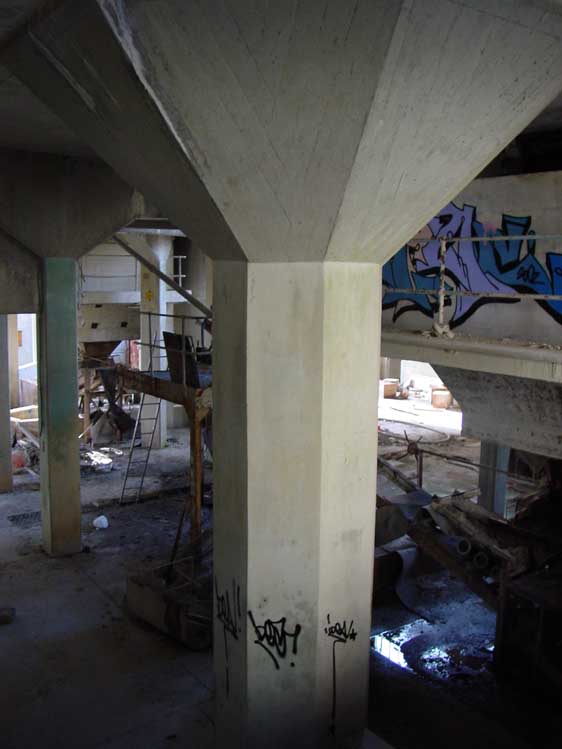 DSC05941