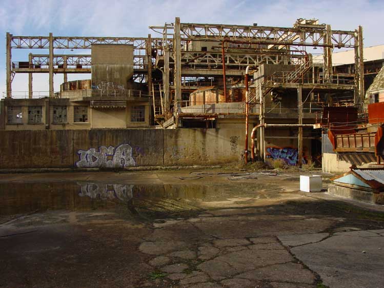 DSC05945