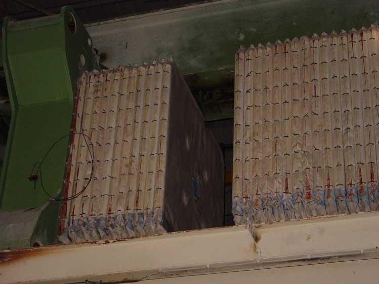 DSC05951