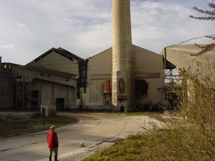 DSC05956