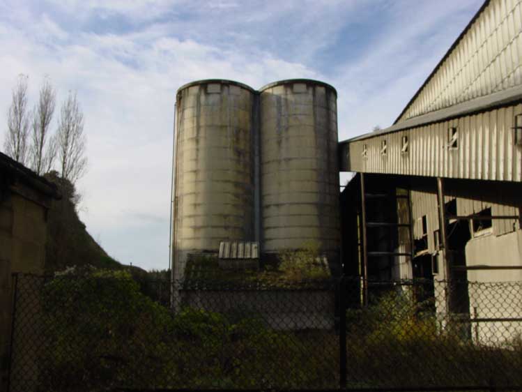 DSC05961