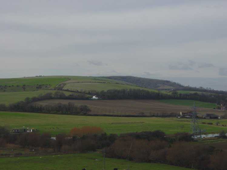 DSC05990