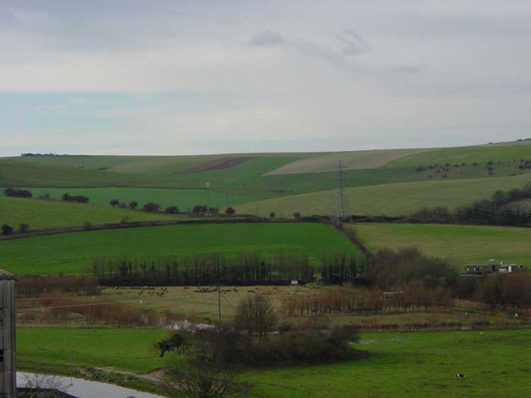 DSC05991