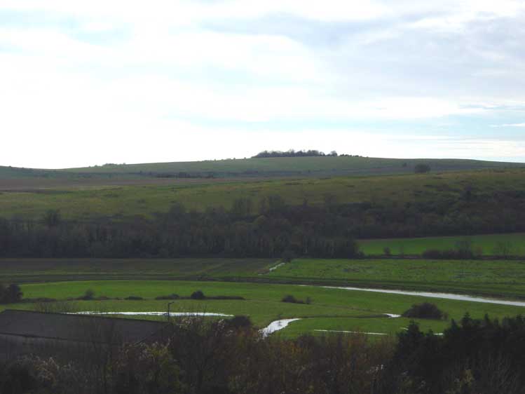 DSC05995