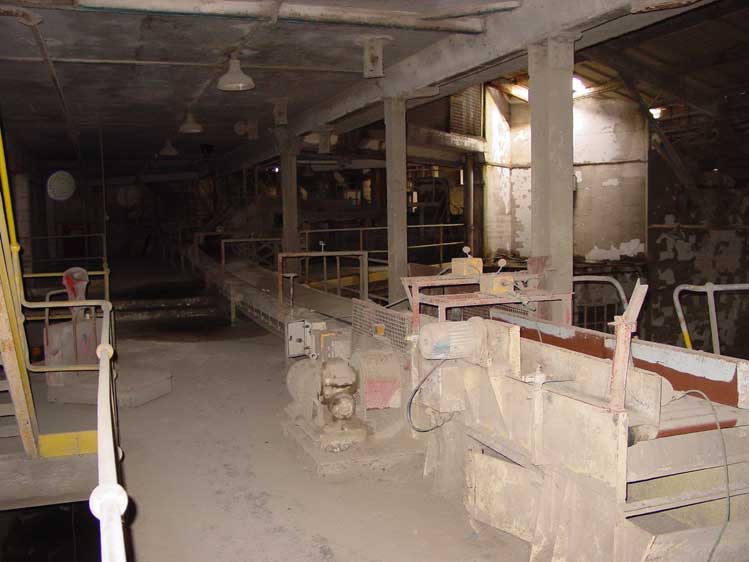 DSC06010