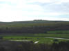 DSC05995