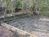 DSC02781