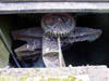DSC02728